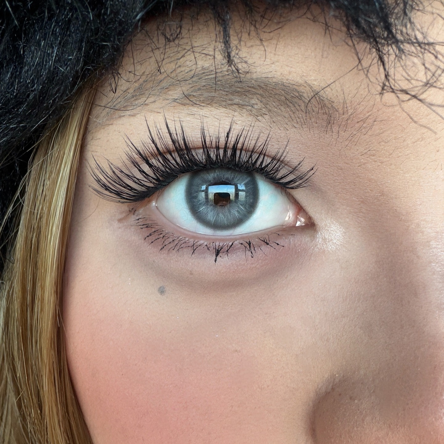 FreshLady Muses Blue en uso real